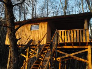 AllonsCabane des cerfs的树林中的小屋,有楼梯通往小屋