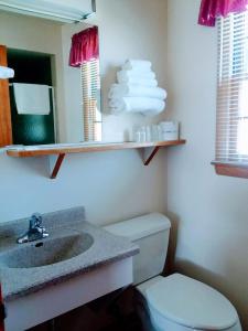 绿湾Bay Motel的一间带水槽、卫生间和镜子的浴室