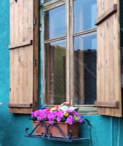 迪利然Dilijan Town Inn的窗台上一盆鲜花的窗户