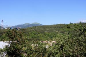 迪利然Dilijan Town Inn的享有山丘树木和房屋的景色