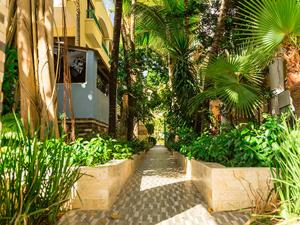 璜多里奥广场瑞尔度假酒店的一条穿过棕榈树花园和一座建筑的小路