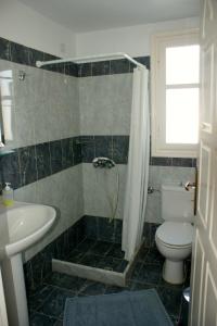 卡马利Blue Bay Villas的带淋浴、卫生间和盥洗盆的浴室