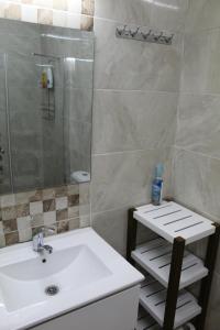 埃拉特科贝尔别墅公寓的一间带水槽和淋浴的浴室