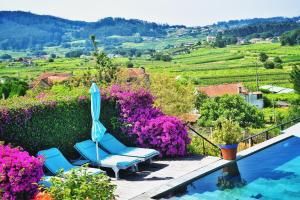 米亚诺Quinta de San Amaro Rias Baixas的一个带两把蓝色椅子和鲜花的游泳池