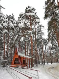 Sosnoviy BorBKC Country的树林中的小屋,树上积雪