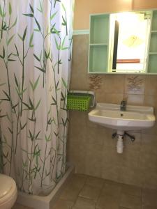 阿里拉斯Eleni Apartments的一间带水槽和淋浴帘的浴室