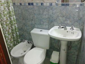 阿肖海Complejo Extremo的一间带卫生间和水槽的浴室