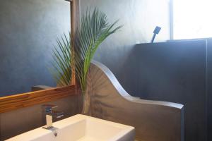 平谷Serene Villa的一间带水槽和盆栽植物的浴室