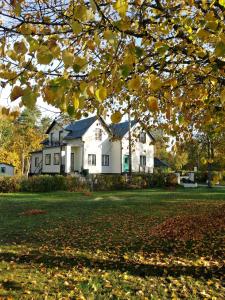 TingstädeGotland of Sweden - bed & breakfast的前面有一棵树的白色房子