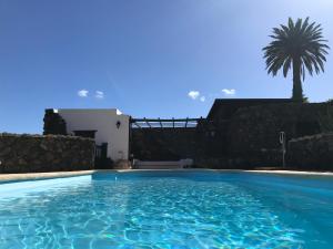 阿里亚Finca La Fuentecilla的棕榈树屋前的游泳池