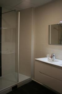 普拉洛尼昂拉瓦努瓦斯泰勒马克酒店的带淋浴、盥洗盆和镜子的浴室