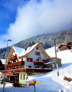 贝阿滕贝格斯特内酒店的一座大雪地建筑,山中