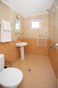 索非亚戴安娜家庭酒店的浴室配有卫生间、盥洗盆和淋浴。