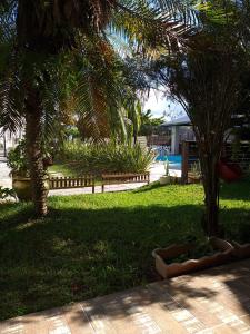 弗洛里亚诺波利斯Residencial Maria Vitoria的种植了棕榈树的绿色庭院和公园
