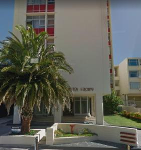 伊丽莎白港Modern rooms available close to the beach in Humewood的一座建筑前的棕榈树