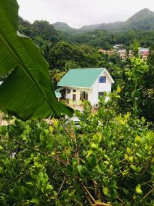 安塞奥潘爱巢自助式旅馆的森林中带绿色屋顶的白色房子