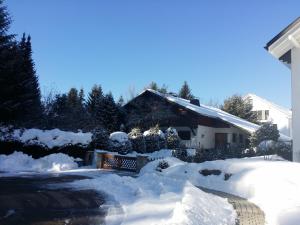 蒂蒂湖-新城Schwarzwald - Villa Appartments Titisee的相册照片