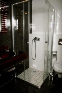 斯科普里Hotel Hamburg的带淋浴、水槽和卫生间的浴室