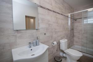 HoÅ¡Å¥kaApartment Tereza的浴室配有卫生间、盥洗盆和淋浴。