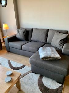 克诺克－海斯特Residentie Mariposa的客厅配有灰色沙发和桌子
