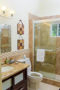 欧丘里欧Tropical Luxury Dreams的一间带卫生间和玻璃淋浴间的浴室