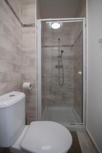 HoÅ¡Å¥kaApartmán Petra的带淋浴和白色卫生间的浴室