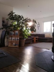 PillFerienhaus Hubertus für 8 Personen的客厅配有盆栽植物和沙发