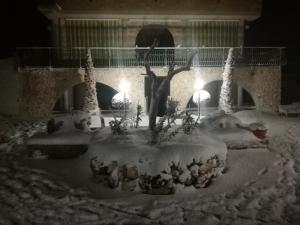 格拉维纳普利亚Villa del sole的被雪覆盖的庭院,有树和灯光