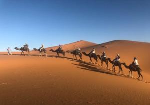 姆哈米德Auberge L'oasis Mhamid的一群在沙漠里骑马的人