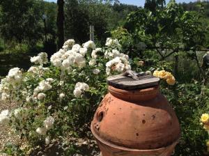 鲁菲娜Agriturismo Prato Barone的花前的老锈火龙头