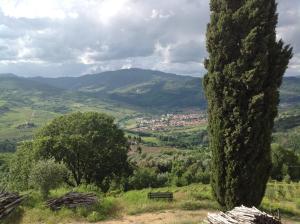 鲁菲娜Agriturismo Prato Barone的山谷中长着长凳的山丘上的树