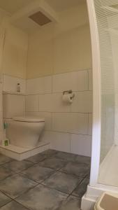 派西亚奥地利汽车旅馆的白色的浴室设有卫生间和淋浴。