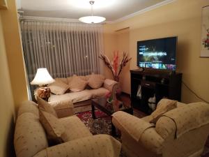 拉巴斯Apartamento Exclusivo VIP的带沙发和平面电视的客厅