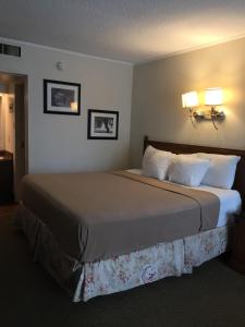 亚特兰大Cheshire Motor Inn的一张大床,位于酒店带两盏灯的房间