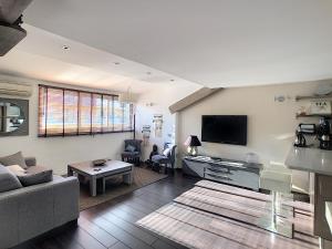 戛纳戛纳阁楼公寓的带沙发和电视的客厅