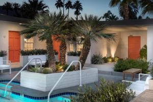 棕榈泉the Weekend Palm Springs的棕榈树和游泳池的房子