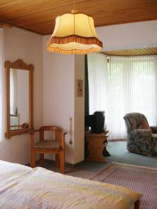 Wildewiese霍普度假农家乐的一间卧室配有一张床和一个大型吊灯。