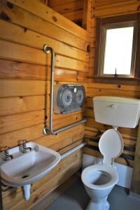 Castle HillForest Lodge的一间带卫生间、水槽和扬声器的浴室