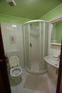 都灵Hotel Vinzaglio的带淋浴、卫生间和盥洗盆的浴室