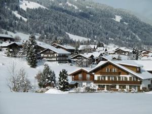 上迈塞尔施泰因Landhaus Berktold的山中雪地中的滑雪小屋