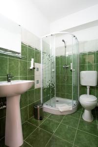 萨图马雷Vila Camino的带淋浴、卫生间和盥洗盆的浴室