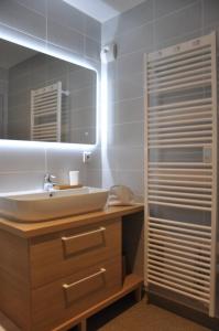 拉姆吉Appt Le Caribou/La Mongie的一间带水槽和镜子的浴室