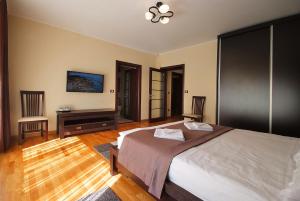斯兰默多瓦Vila Moldavia Class的一间卧室配有一张床、一张书桌和一台电视。