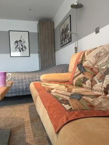 波尔多Le Turenne的带沙发和毯子的客厅