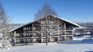 米特菲厄姆恩斯罗伊特Apartment Almberg的雪中一座大建筑,有树