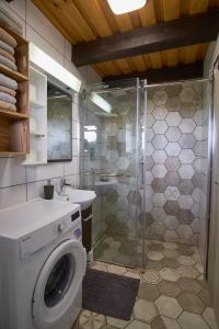 PresikaHoliday house Podhamer Boris的一间带洗衣机和淋浴的浴室