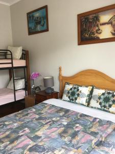 奥克兰Mini Homestay的一间卧室配有一张床和一张双层床。