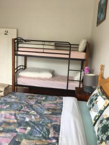 奥克兰Mini Homestay的一间卧室配有两张双层床和一张床