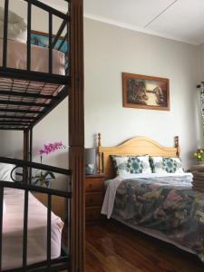 奥克兰Mini Homestay的一间卧室配有双层床,位于双层床旁边。