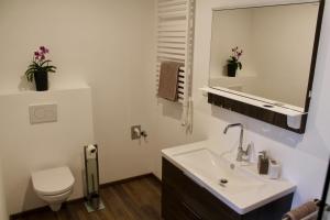 圣吉尔根Echt Heimat Apartments的一间带水槽、卫生间和镜子的浴室